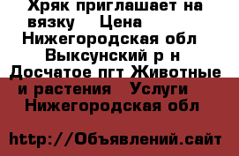 Хряк приглашает на вязку. › Цена ­ 2 000 - Нижегородская обл., Выксунский р-н, Досчатое пгт Животные и растения » Услуги   . Нижегородская обл.